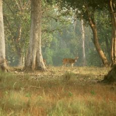 Parc national de Kanha