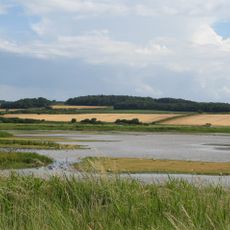 Cley Marshes