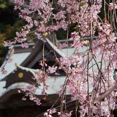 根岸八幡神社