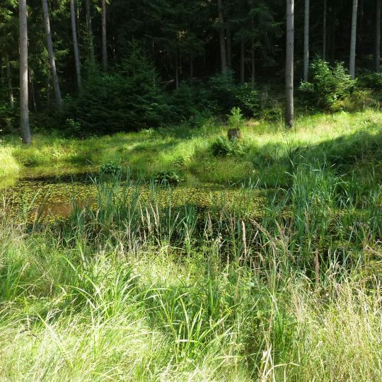 Vordere und Hintere Heide südlich Uhlstädt