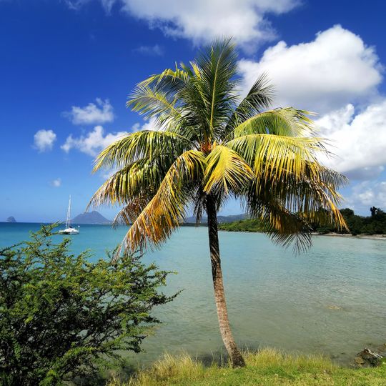 Plage de l'Anse Mabouyas
