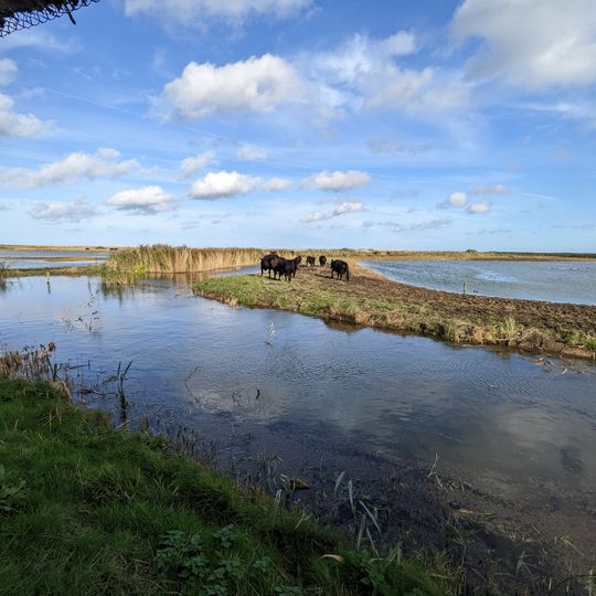 Cley Marshes