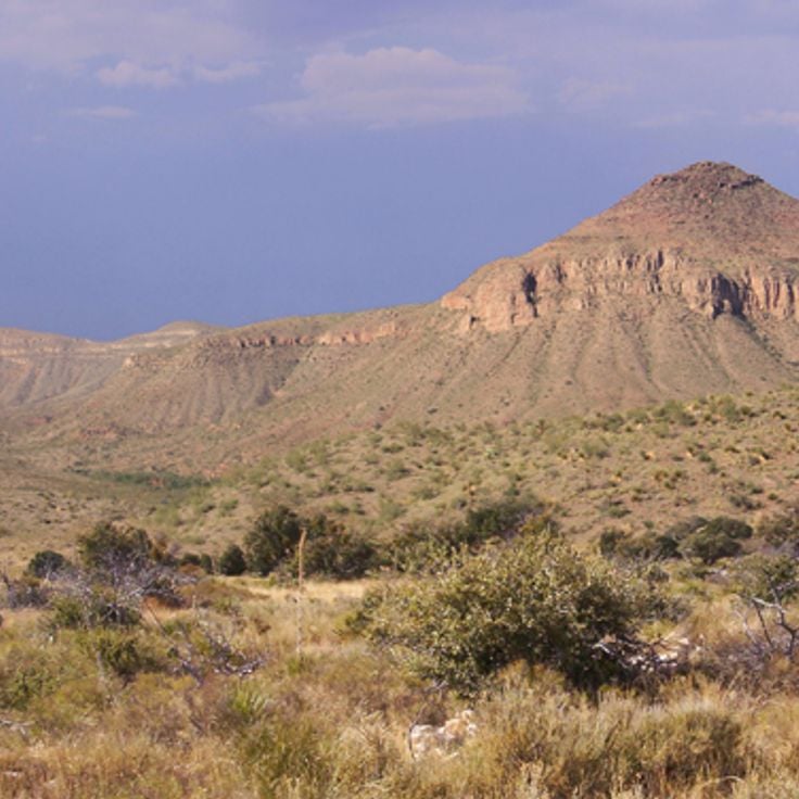 Desierto de Chihuahua
