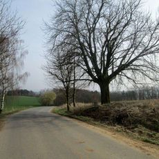 Kříž severně od Tasnovic