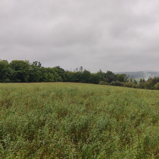 Nalžovické Podhájí