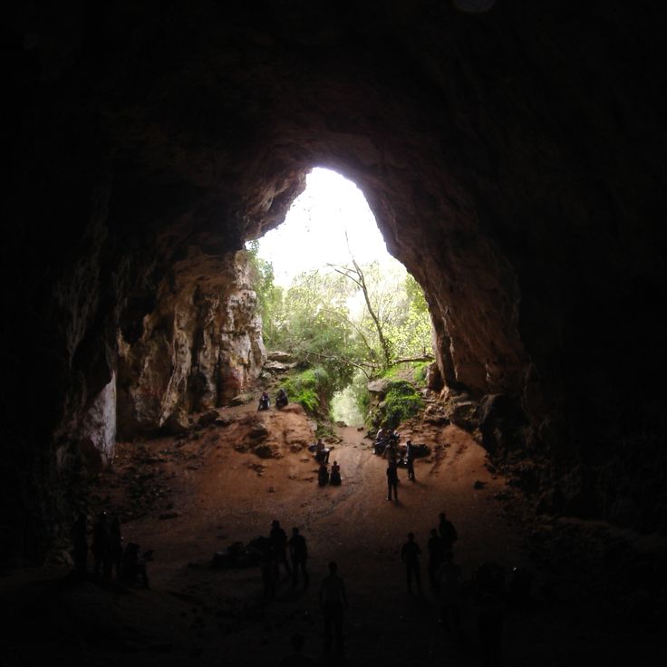 Cova des Coloms