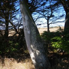 Menhir de Parc-er-Menhir