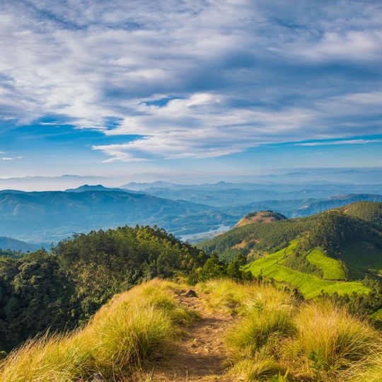 Kolukkumalai