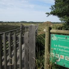 Réserve naturelle nationale des marais de la Sangsurière et de l'Adriennerie