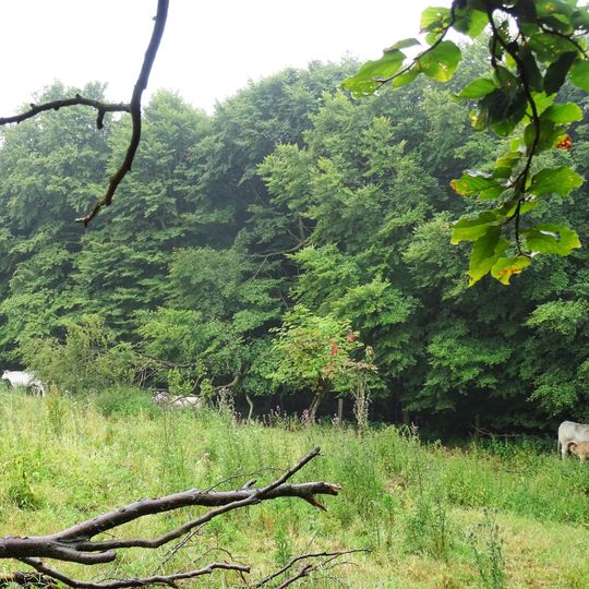 Landschaftsschutzgebiet Medebach