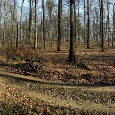 Köhlerberg (Taunus)