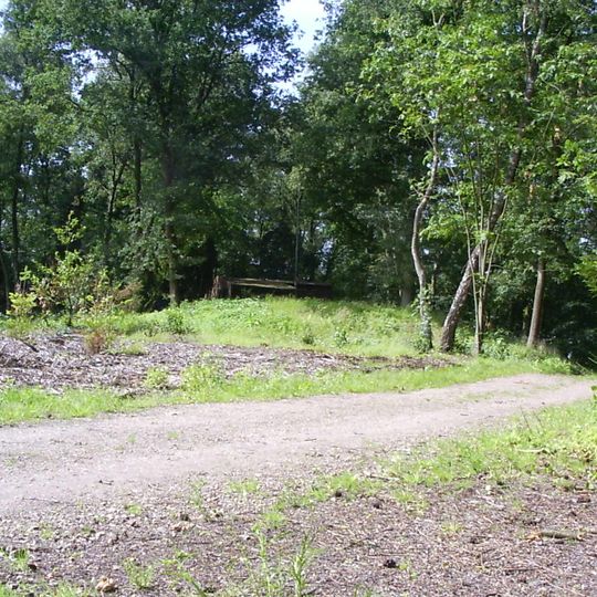 Terrein waarin drie grafheuvels