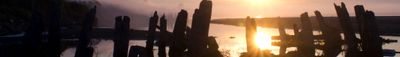Panoramic View 0