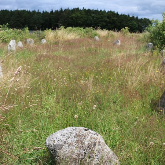 Gräberfeld_Alnaberget