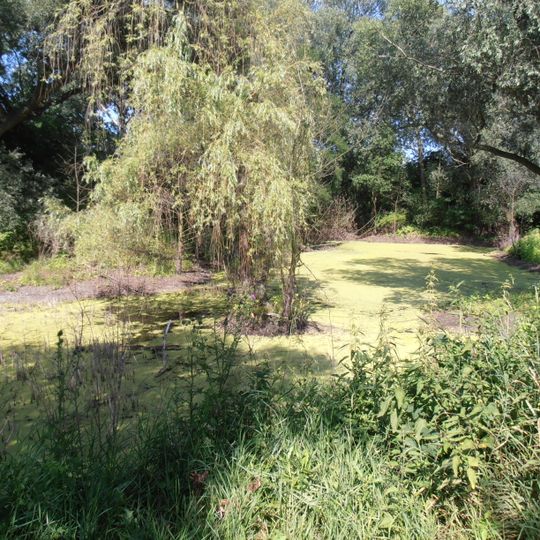 Bázlerova pískovna