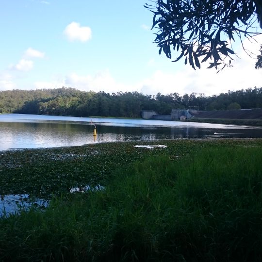 Enoggera Dam