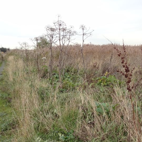 Rainham Marshes Nature Reserve