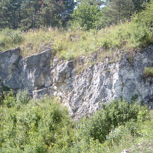 Rezerwat przyrody Kajasówka