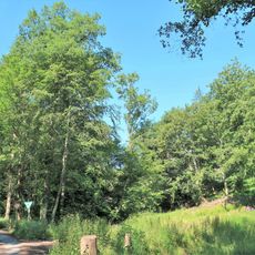 Waldwiesen Selbecker Bach