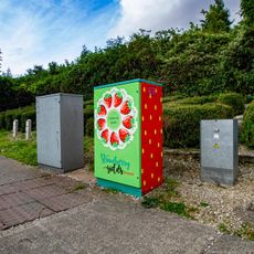 Strawberry Yields Forever