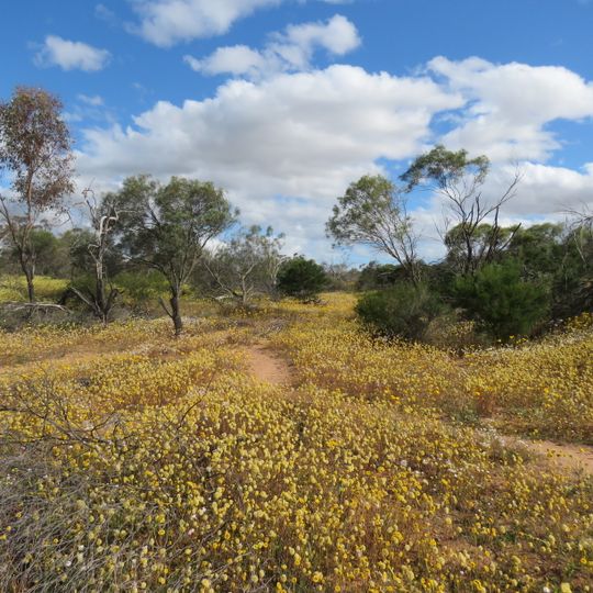 Plateau Loop Trail, Coalseam Conservation Park