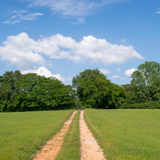 LSG-Hecken-Gruenlandkomplex noerdlich Kohlstaedt