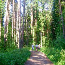 Tarkhovsky Forest Park