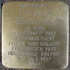 Friedrich Sternefeld