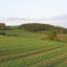 Völzberger Köpfchen