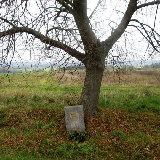 Pomník severozápadně od Přehýšova