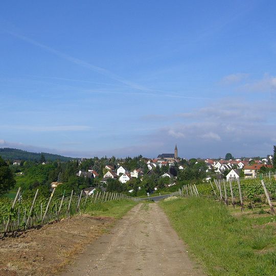 Weiler bei Bingen