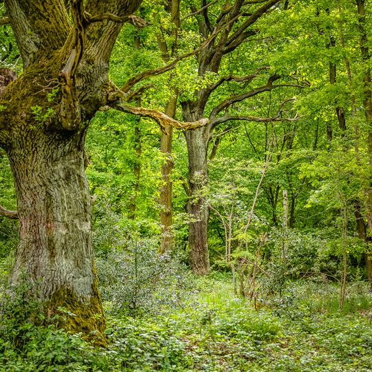 Stockheimer Wald-Drovetal-Stufenländchen-Eifelvorland
