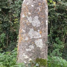 Milestone Ngr 73440911