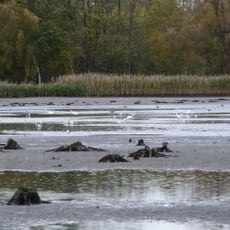 Riddagshäuser Teiche