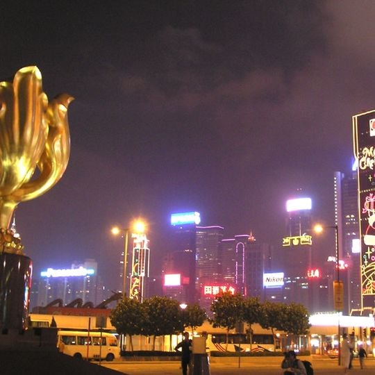 Golden Bauhinia Square