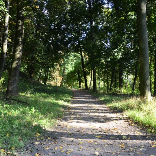 Park pałacowy w Puławach