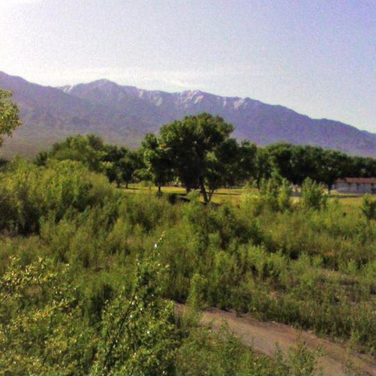 Littlefield