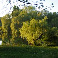 Dendropark "Podillya"