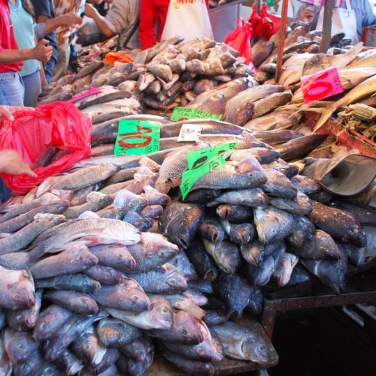 La Nueva Viga Market