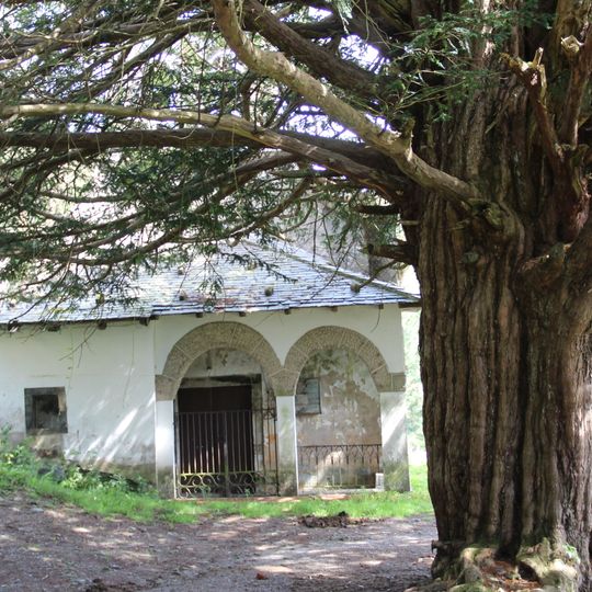 Campo de Iglesia de El Carmen de Santa Coloma