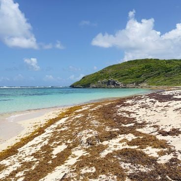 Hidden beaches and coves of Guadeloupe