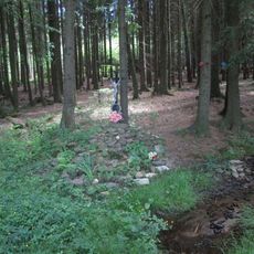 Kříž jižně od Nové Vsi v lese