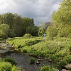 Tauberinsel Igersheim mit Uferstreifen Untere Rohrwiesen