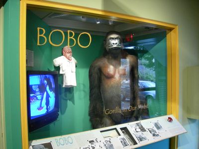 Interior 0
