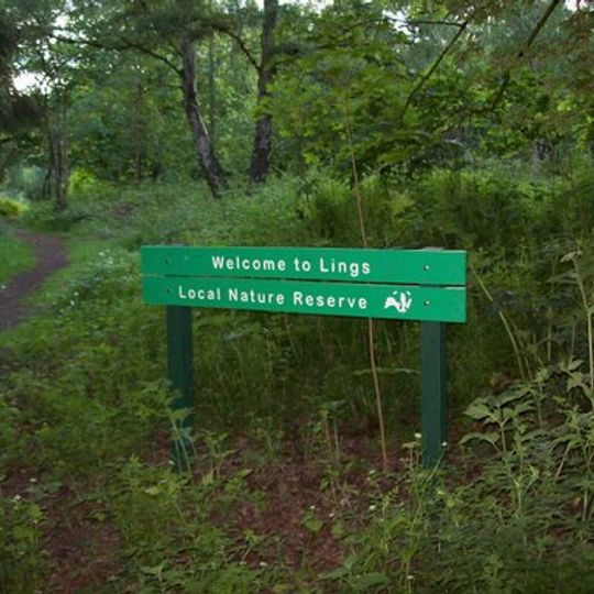 Lings Wood Nature Reserve