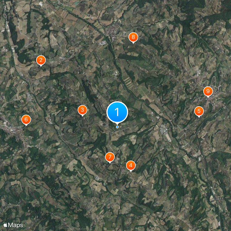 Antinori Map