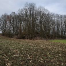 Burgstall Rappershausen