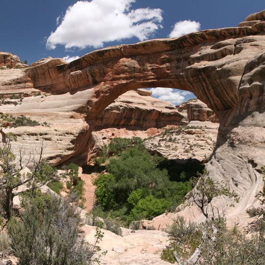 Natural Bridges National Monument