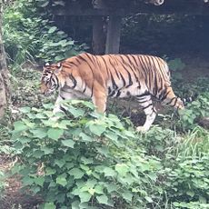 宁波野生动物园