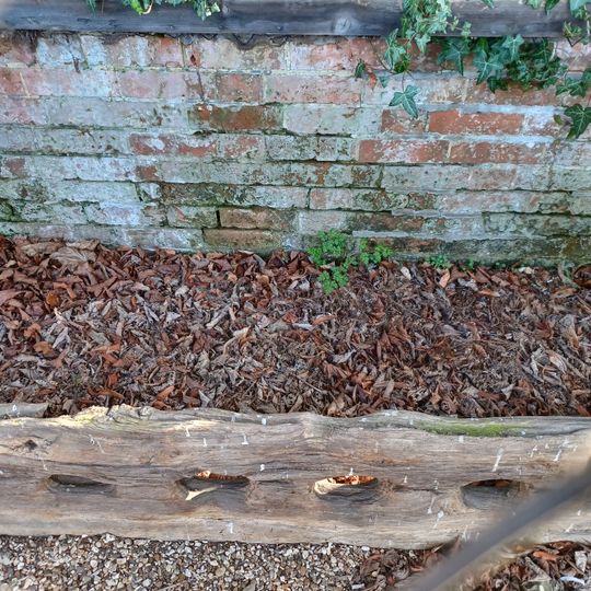 Village Stocks And Whipping Post